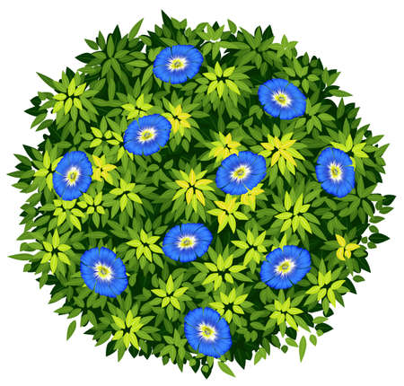 Blue flower on green bush illustrationのイラスト素材