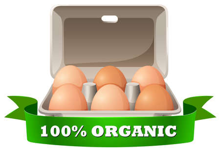 Fresh eggs in box illustrationのイラスト素材