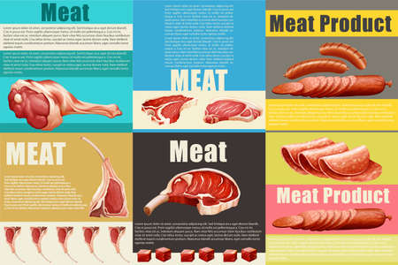 Infographic with different kind of meat illustrationのイラスト素材