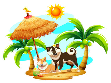Happy dogs on the beach illustrationのイラスト素材