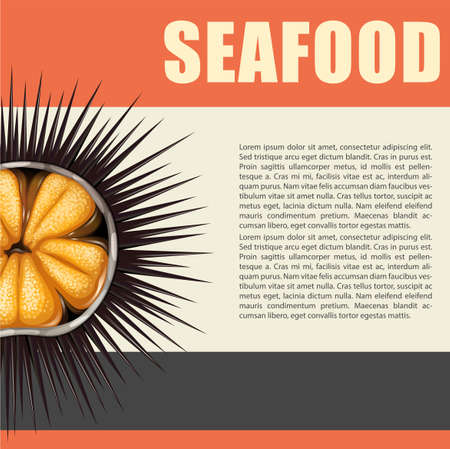 Seafood poster with sea urchin illustrationのイラスト素材