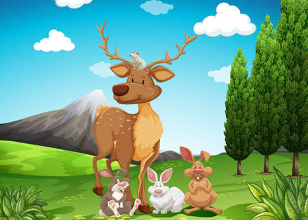 Wild animals in the field illustration