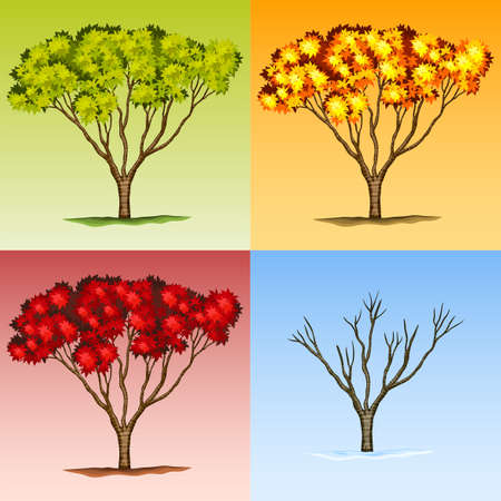 Scene of tree in different seasons illustrationのイラスト素材