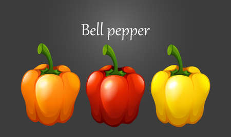 Three colors of bell pepper illustrationのイラスト素材