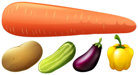 Different kind of fresh vegetables illustrationのイラスト素材