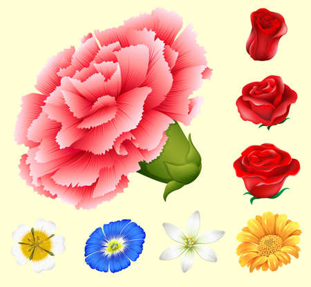 Various kind of flowers illustrationのイラスト素材
