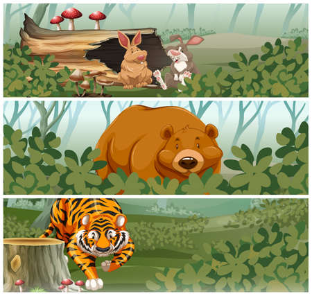 Wild animals in the jungle illustrationのイラスト素材