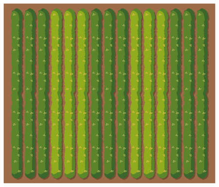 Row of vegetables from topview illustrationのイラスト素材