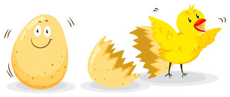 Egg and little chick  illustrationのイラスト素材