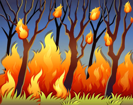 Trees in forest on fire illustrationのイラスト素材
