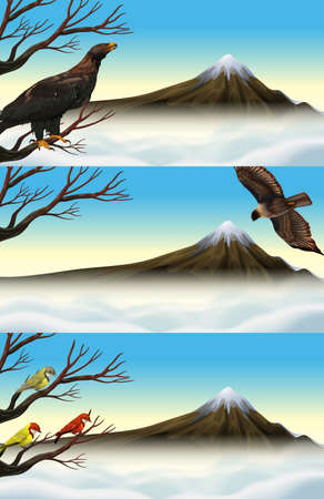 Wild birds on the branch  illustrationのイラスト素材