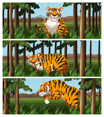 Wild tiger living in the jungle illustrationのイラスト素材