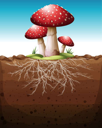 Red mushroom growing from the ground illustrationのイラスト素材