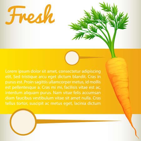 Infographic with fresh carrot illustrationのイラスト素材