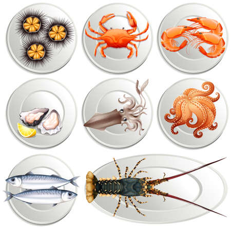 Various kind of seafood on plates illustrationのイラスト素材