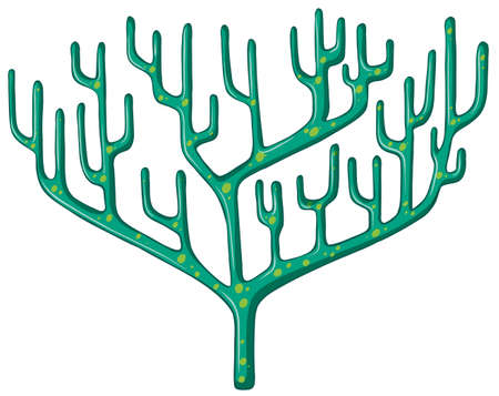 Single coral reef on white illustrationのイラスト素材