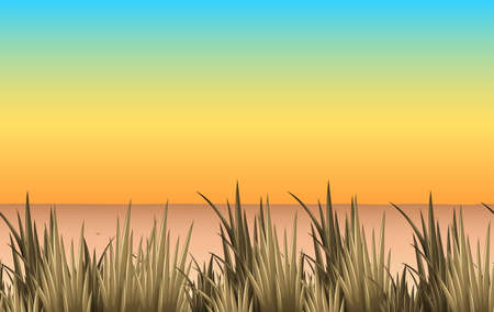 Nature scene with sand and grass illustrationのイラスト素材