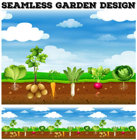 Different kind of vegetables in the garden illustrationのイラスト素材