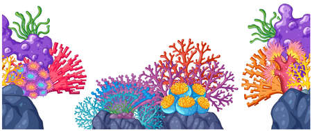 Coral reef on the rocks illustrationのイラスト素材
