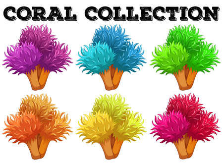 Coral flowers in different colors illustrationのイラスト素材