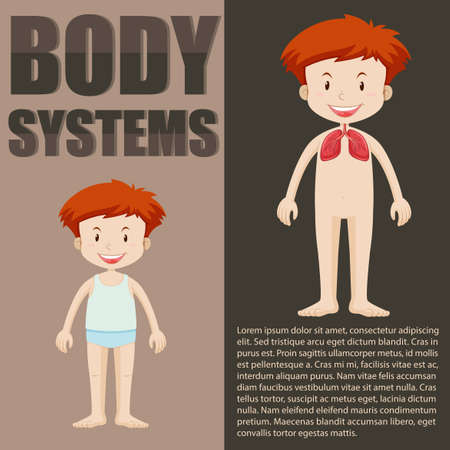 Boy and body system infographic illustrationのイラスト素材