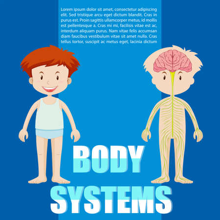 Infographic of boy and body system illustrationのイラスト素材