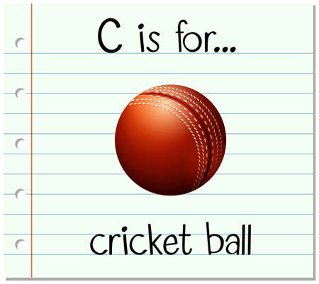 Flashcard letter C is for cricket ball illustrationのイラスト素材