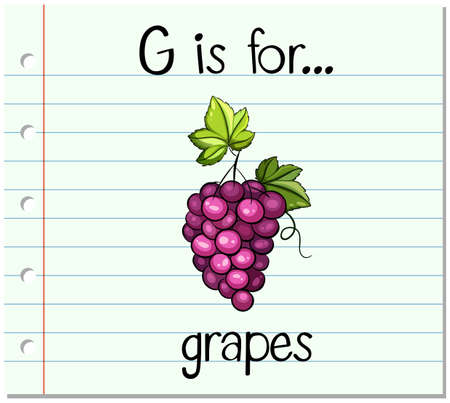 Flashcard letter G is for grapes illustrationのイラスト素材