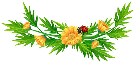 Yellow flowers and ladybug illustrationのイラスト素材