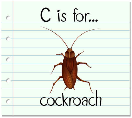 Flashcard letter C is for cockroach illustrationのイラスト素材
