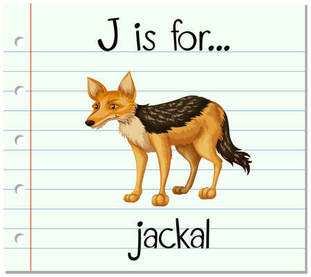 Flashcard letter J is for jackal illustrationのイラスト素材