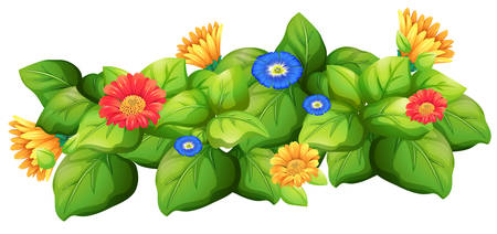 Green leaves with colorful flowers illustrationのイラスト素材