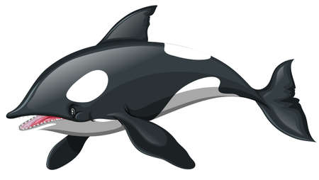 Whale with happy face illustrationのイラスト素材