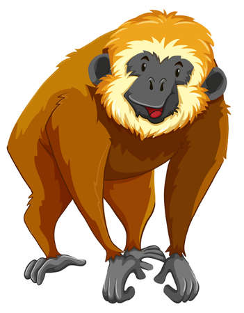 Brown gibbon with happy face illustrationのイラスト素材