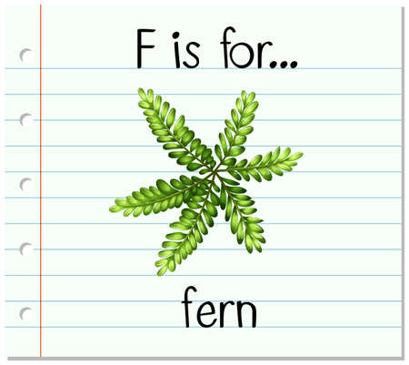 Flashcard letter F is for fern illustrationのイラスト素材