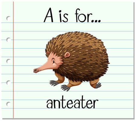 Flashcard letter A is for anteater illustrationのイラスト素材