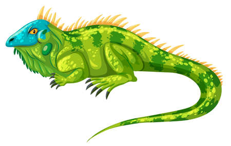 Green iguana crawling alone illustrationのイラスト素材
