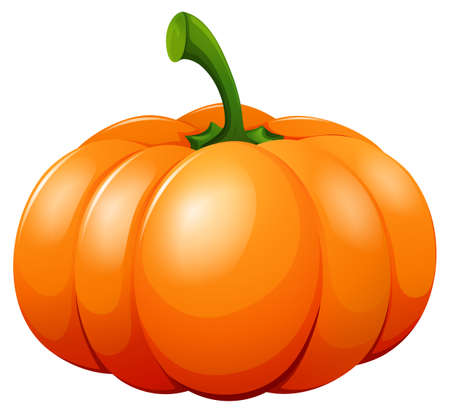 Fresh pumpkin on white background illustrationのイラスト素材