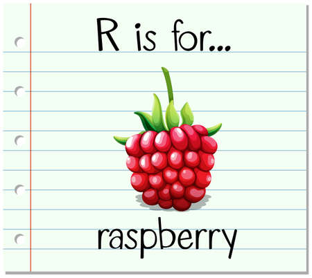Flashcard letter R is for raspberry illustrationのイラスト素材