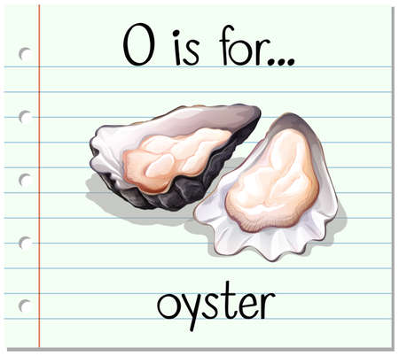 Flashcard letter O is for oyster illustration
