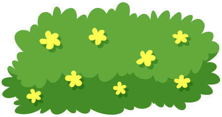 Bush with yellow flowers illustrationのイラスト素材
