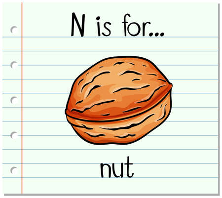 Flashcard letter N is for nut illustrationのイラスト素材