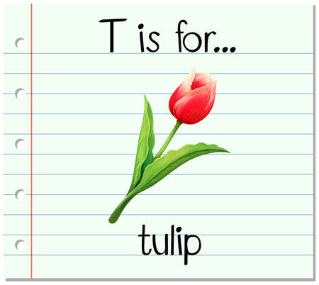 Flashcard letter T is for tulip illustrationのイラスト素材