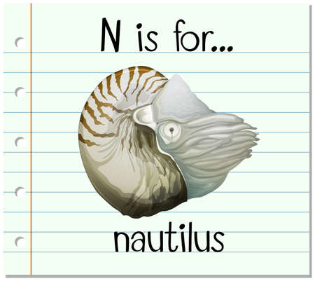 Flashcard alphabet N is for nautilus illustrationのイラスト素材