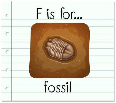 Flashcard alphabet F is for fossil illustrationのイラスト素材