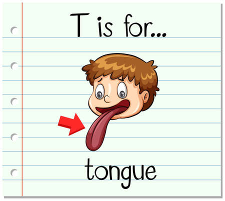 Flashcard letter T is for tongue illustrationのイラスト素材