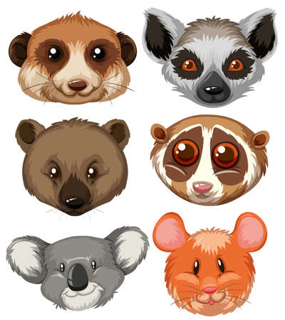 Different type of animal heads illustrationのイラスト素材
