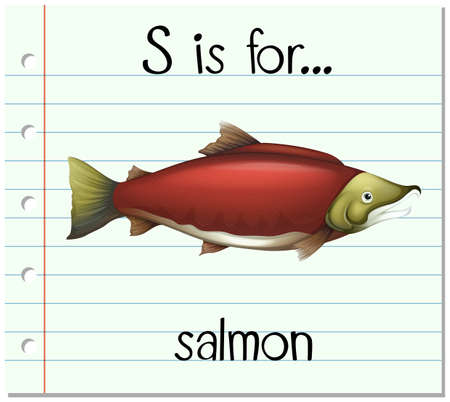Flashcard letter S is for salmon illustrationのイラスト素材