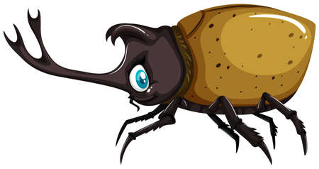 Beetle with sharp horn illustrationのイラスト素材
