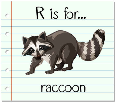Flashcard letter R is for raccoon illustrationのイラスト素材